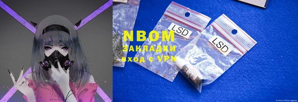 дмт Алзамай