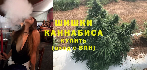 дмт Алзамай