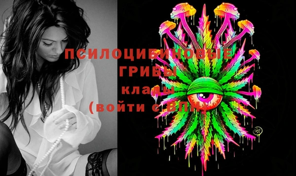 СК Алексеевка