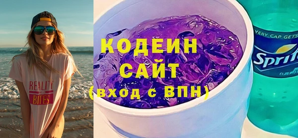 дживик Иннополис