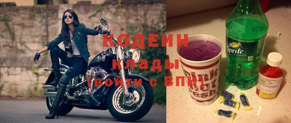 гашик Инта